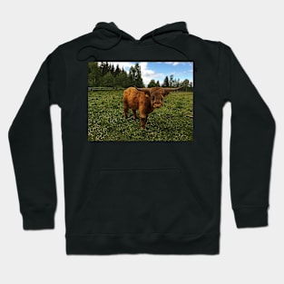 Scottish Highland Cattle Bull 1786 Hoodie